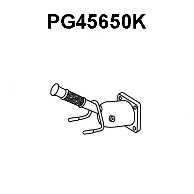 PG45650K VENEPORTE Катализатор (фото 1)