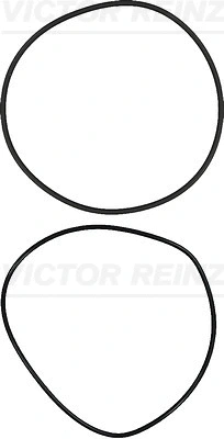 15-73556-01 VICTOR REINZ Комплект прокладок, гильза цилиндра (фото 1)