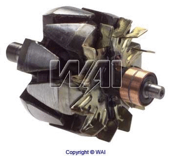 28-124 WAIGLOBAL Ротор, генератор (фото 1)