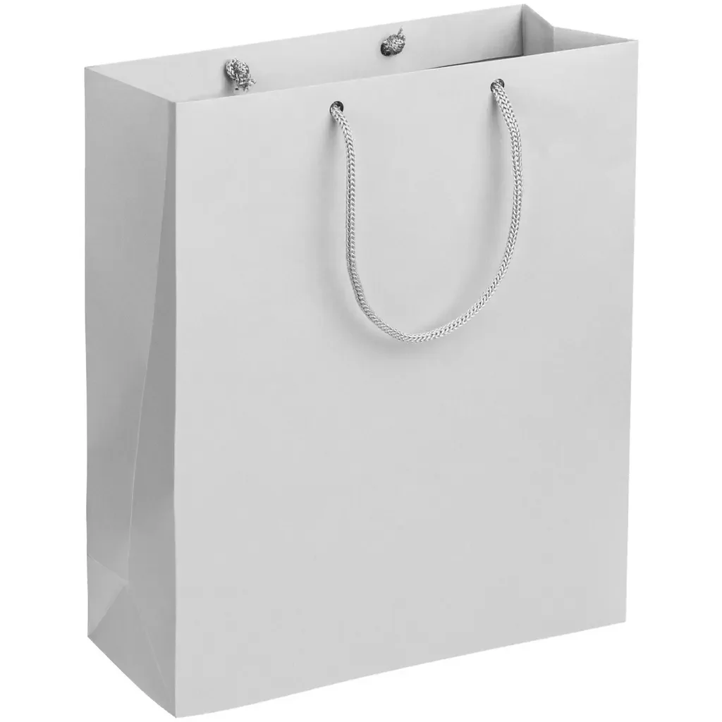 unibag1_grey Acura Бумажный подарочный пакет, серый, размер: 23 х 28 х 9,2 см. (фото 1)