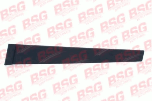 BSG 30-925-001 BSG Облицовка / защитная накладка, стекло двери (фото 2)