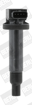 ZSE165 BorgWarner (BERU) Катушка зажигания (фото 1)