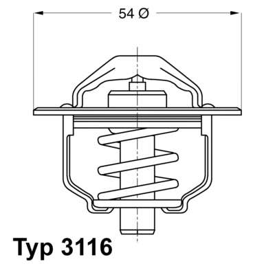 3116.82D BorgWarner (Wahler) Термостат, охлаждающая жидкость (фото 1)