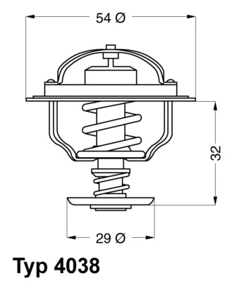 4038.65D BorgWarner (Wahler) Термостат, охлаждающая жидкость (фото 1)