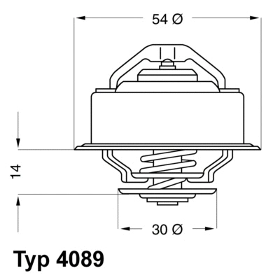 4089.87 BorgWarner (Wahler) Термостат, охлаждающая жидкость (фото 1)