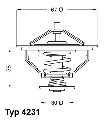 4231.80D BorgWarner (Wahler) Термостат, охлаждающая жидкость (фото 1)