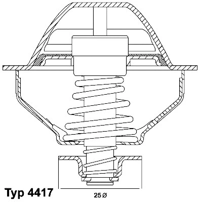 4417.81D BorgWarner (Wahler) Термостат, охлаждающая жидкость (фото 1)