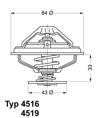 4516.85D BorgWarner (Wahler) Термостат, охлаждающая жидкость (фото 1)