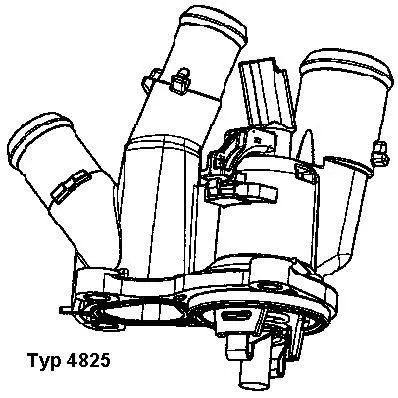 4825.98D BorgWarner (Wahler) Термостат, охлаждающая жидкость (фото 1)