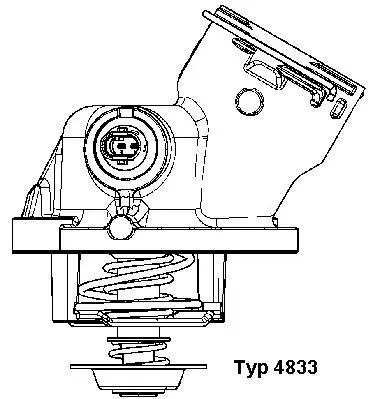 4833.100D BorgWarner (Wahler) Термостат, охлаждающая жидкость (фото 1)