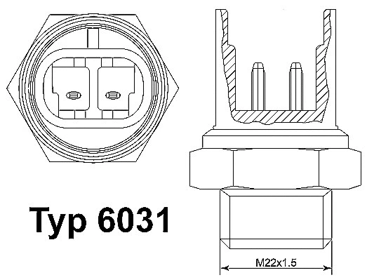 6031.100D BorgWarner (Wahler) Термовыключатель, вентилятор радиатора (фото 1)