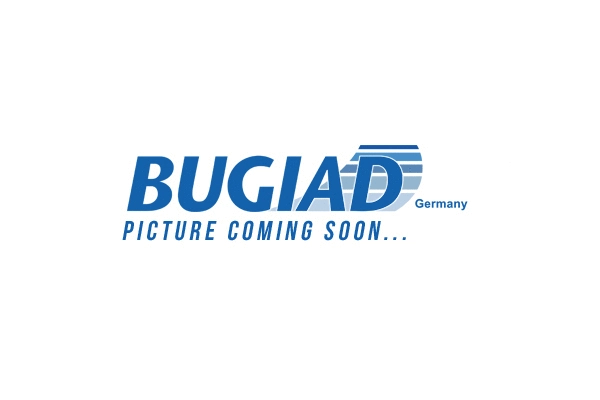 BCP16703 BUGIAD Ременный шкив, коленчатый вал (фото 1)