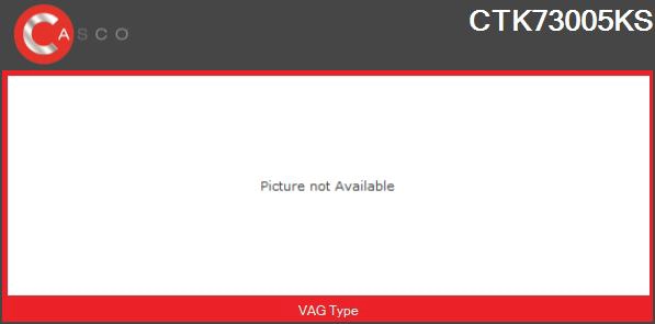 CTK73005KS CASCO Ремкомплект, нагнетатель (фото 1)