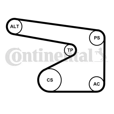 5PK1355WP1 CONTINENTAL CTAM Водяной насос + комплект ручейковых ремней (фото 2)