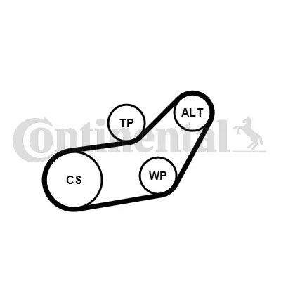 6PK1045WP2 CONTINENTAL CTAM Водяной насос + комплект ручейковых ремней (фото 2)