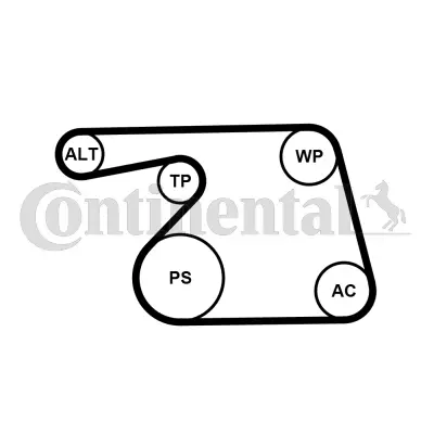 6PK1318WP1 CONTINENTAL CTAM Водяной насос + комплект ручейковых ремней (фото 2)