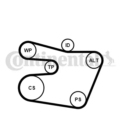 6PK1538WP1 CONTINENTAL CTAM Водяной насос + комплект ручейковых ремней (фото 2)