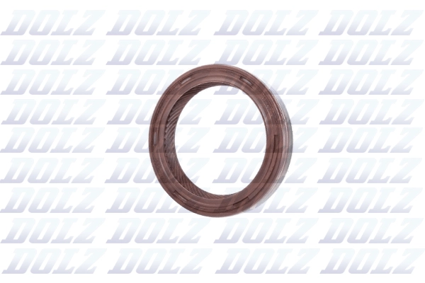 02KCS029 DOLZ Уплотняющее кольцо, коленчатый вал (фото 1)