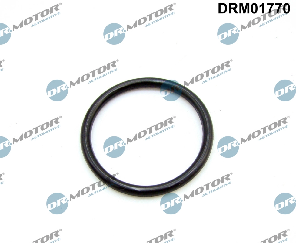 DRM01770 Dr.Motor Automotive Прокладка, впускной коллектор (фото 1)