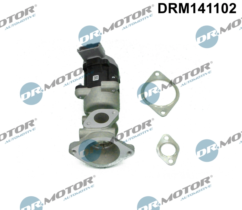 DRM141102 Dr.Motor Automotive Клапан возврата ОГ (фото 1)