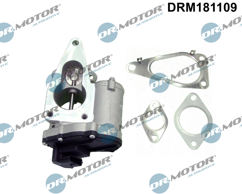 DRM181109 Dr.Motor Automotive Клапан возврата ОГ (фото 1)
