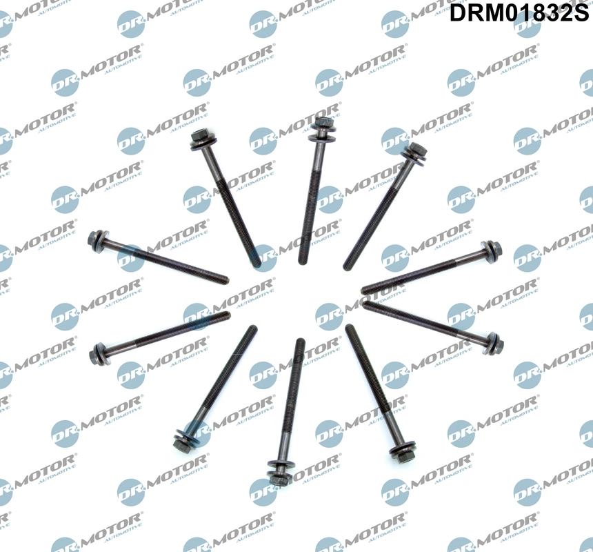 DRM01832S Dr.Motor Automotive Комплект болтов головки цилидра (фото 1)