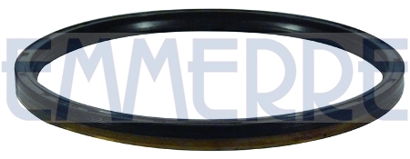 101507 EMMERRE Уплотняющее кольцо, ступица колеса (фото 1)