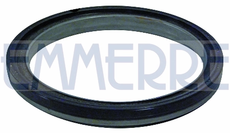 101499 EMMERRE Уплотняющее кольцо, ступица колеса (фото 1)