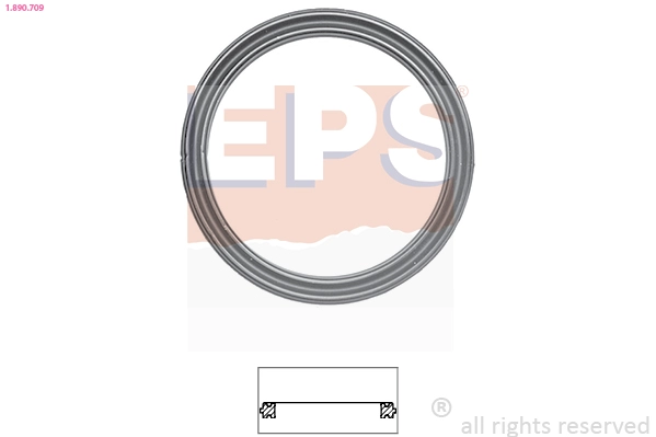 1.890.709 EPS Прокладка, термостат (фото 2)