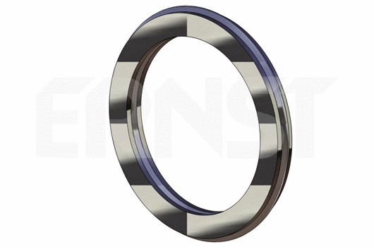 489935 ERNST Уплотнительное кольцо, труба выхлопного газа (фото 1)