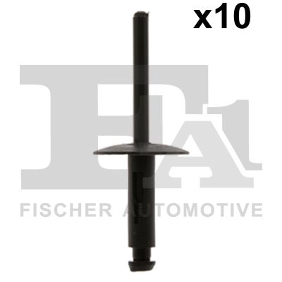 10-20020.10 FA1/FISCHER Ассортимент, заклёпка (фото 2)