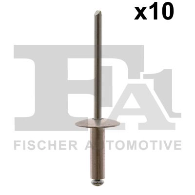 12-20009.10 FA1/FISCHER Ассортимент, заклёпка (фото 1)