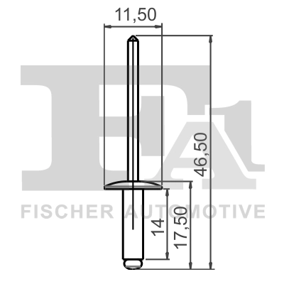 12-20009.10 FA1/FISCHER Ассортимент, заклёпка (фото 2)