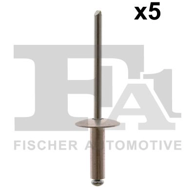 12-20009.5 FA1/FISCHER Ассортимент, заклёпка (фото 1)