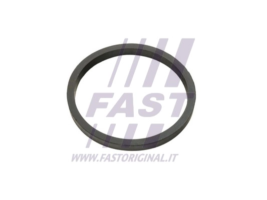 FT49924 FAST Уплотняющее кольцо, масляный радиатор (фото 1)