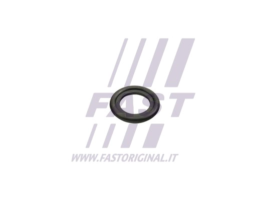 FT49860 FAST Уплотнительное кольцо, резьбовая пробка маслосливн. отверст. (фото 1)