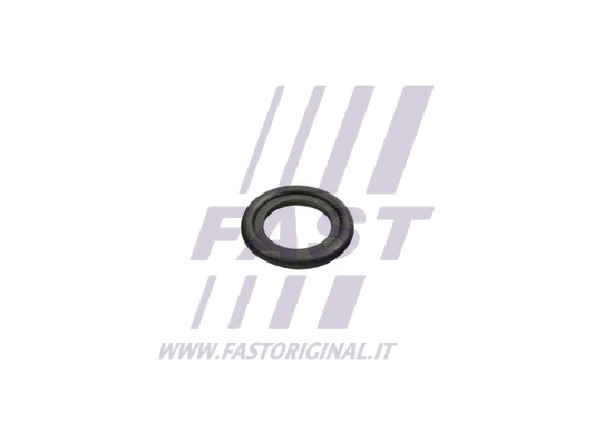 FT49860 FAST Уплотнительное кольцо, резьбовая пробка маслосливн. отверст. (фото 2)