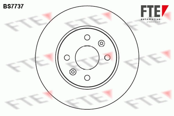 9072518 FTE Тормозной диск (фото 1)