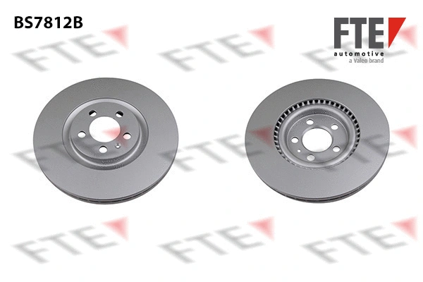 9081163 FTE Тормозной диск (фото 1)