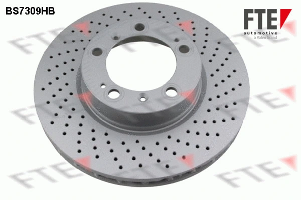 9081332 FTE Тормозной диск (фото 1)