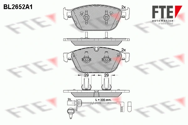 9010891 FTE Комплект тормозных колодок, дисковый тормоз (фото 1)