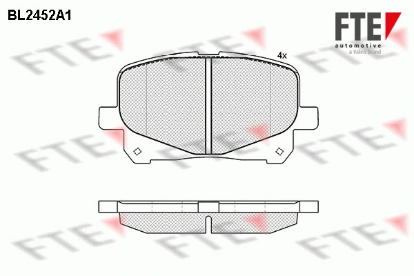 9011050 FTE Комплект тормозных колодок, дисковый тормоз (фото 1)