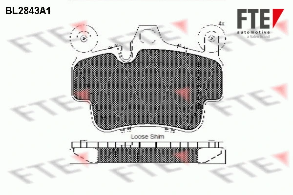 9011019 FTE Комплект тормозных колодок, дисковый тормоз (фото 1)