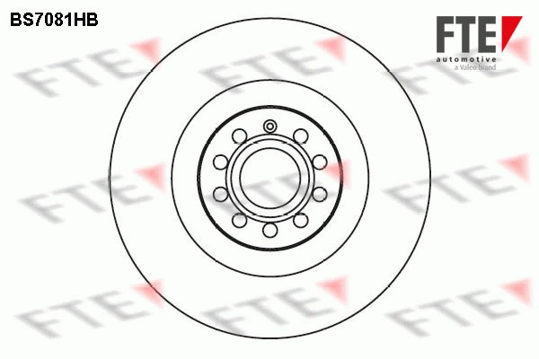 9081321 FTE Тормозной диск (фото 1)