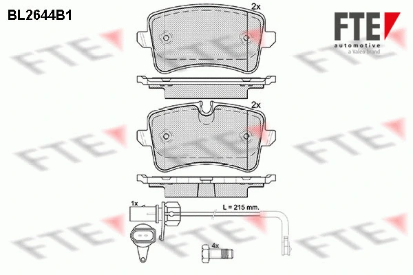 9010887 FTE Комплект тормозных колодок, дисковый тормоз (фото 1)
