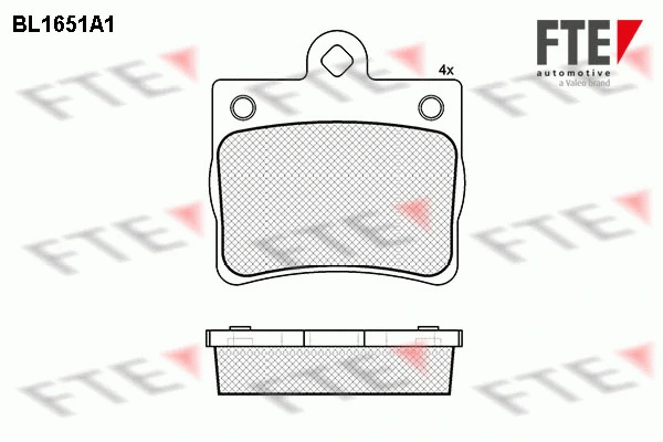 9010268 FTE Комплект тормозных колодок, дисковый тормоз (фото 1)