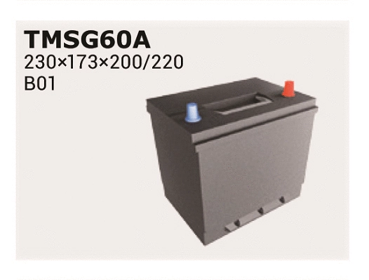 TMSG65A IPSA Стартерная аккумуляторная батарея (фото 1)