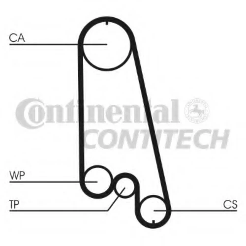 CT874WP1 CONTITECH Водяной насос + комплект зубчатого ремня (фото 4)