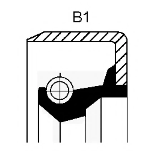 19015082B CORTECO Уплотняющее кольцо, механическая коробка передач (фото 2)