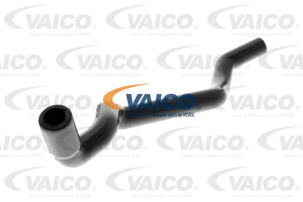 V30-1612 VAICO Шланг, воздухоотвод крышки головки цилиндра (фото 1)